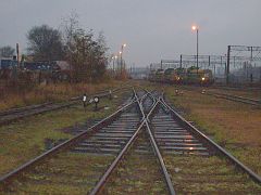 2007-11-25.11_lokomotywownia_poznan,zw548,zw534,zw529
