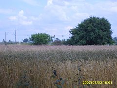 2007-07-03.247-trasa_krzyszkowo-rokietnica