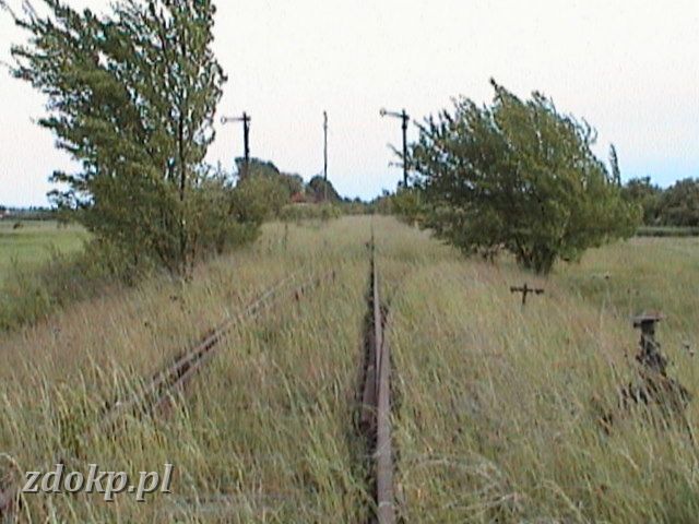 DSC00067.JPG - linia Grodziec May - Kolsko; stacja Lipinka Gogowska; semafory wyjazdowe - widok w kierunku stacji.