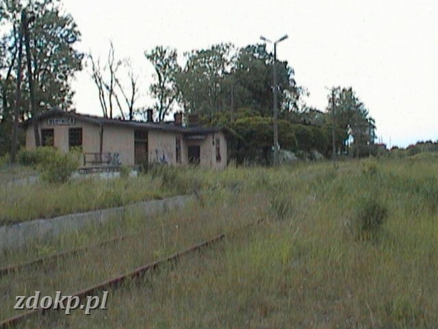 DSC00071.JPG - linia Leszno - Zbszy; stacja Botnica, zabudowania stacyjne i peron 2 - nieuywany