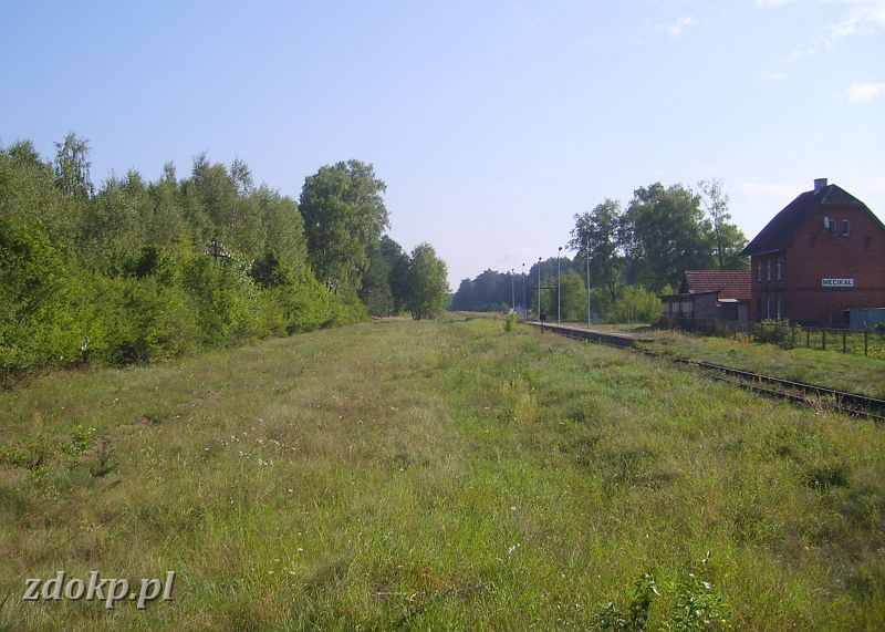 2008-08-26.044_mecikal,rownia_stac,19.6km.JPG - Mcika, rwnia stacyjna (pozostae fotki   stacji Mcika   w dziale    infrastruktury  ) 