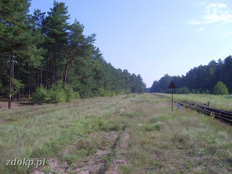 2008-08-26.088_mecikal,19.9km.JPG - Mcika, widok w kierunku Lupisza (pozostae fotki   stacji Mcika   w dziale    infrastruktury  ) 