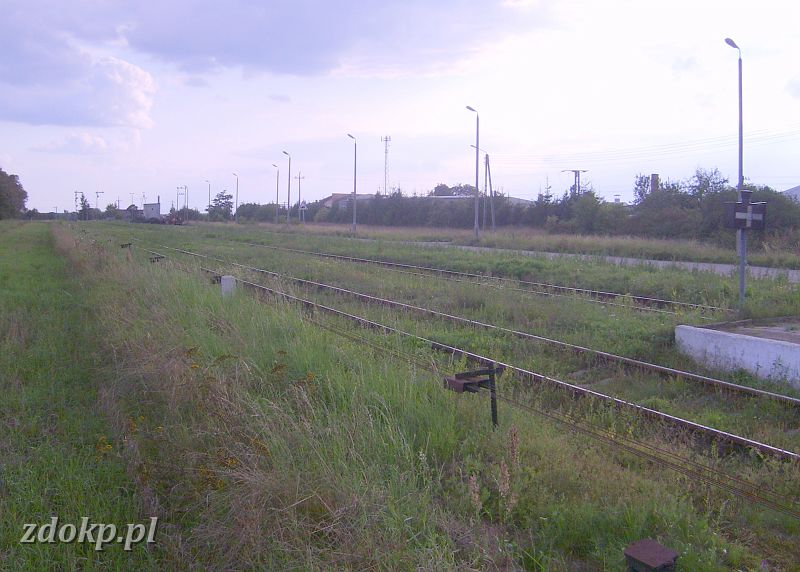 2008-08-26.407_brusy,per2_tor3,26.5km.JPG - stacja Brusy, rwnia stacyjna (pozostae fotki   stacji Brusy   w dziale    infrastruktury  ) 
