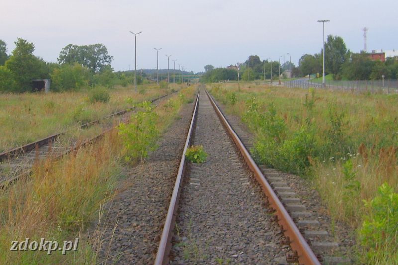 2008-08-26.662_wiecbork,tor1.JPG - stacja Wicbork, widok w kierunku Zotowa i Chojnic (pozostae fotki   stacji Wicbork   w dziale    infrastruktury  ) 