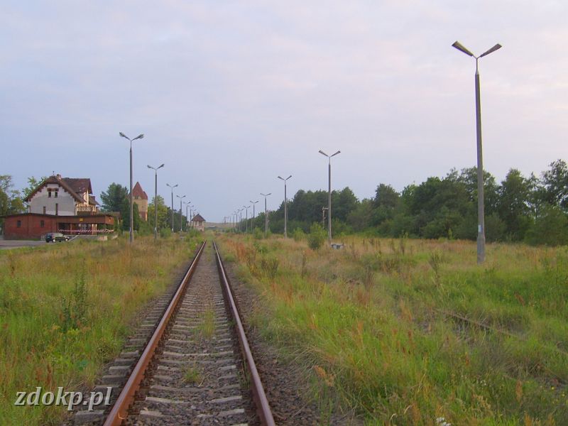 2008-08-26.663_wiecbork,tor1.JPG - stacja Wicbork, widok w kierunku stacji (pozostae fotki   stacji Wicbork   w dziale    infrastruktury  ) 