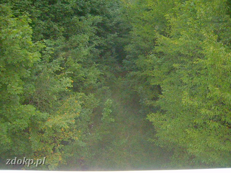2008-08-26.792_wiecbork,kier_stacja.JPG - Wicbork, widok z wiaduktu w kierunku stacji (pozostae fotki   stacji Wicbork   w dziale    infrastruktury  ) 