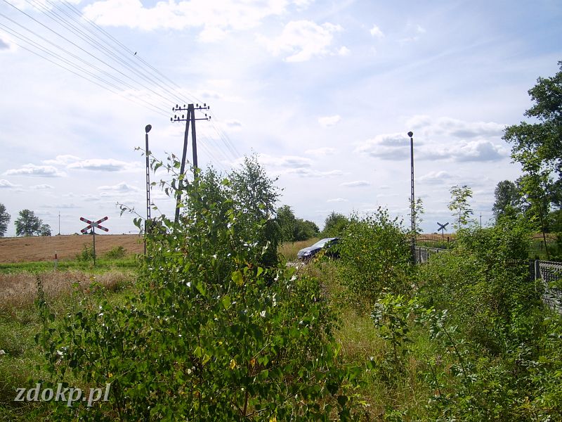 2009-07-31.180_mrowino.JPG - Mrowino - widok w kierunku Przybrody, widoczny przejazd przez drog 184 Pozna - Szamotuy
