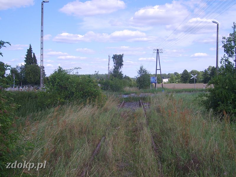 2009-07-31.184_mrowino.JPG - Mrowino - widok w kierunku stacji, widoczny przejazd przez drog 184 Pozna - Szamotuy